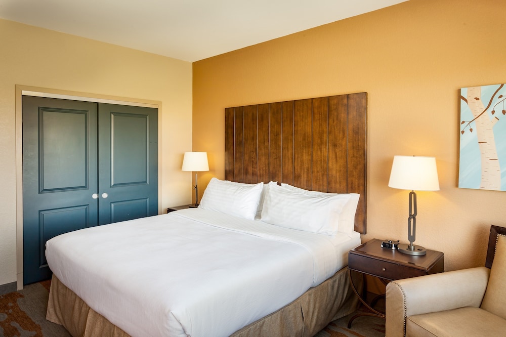 Holiday Inn San Antonio Seaworld by IHG - photo 8