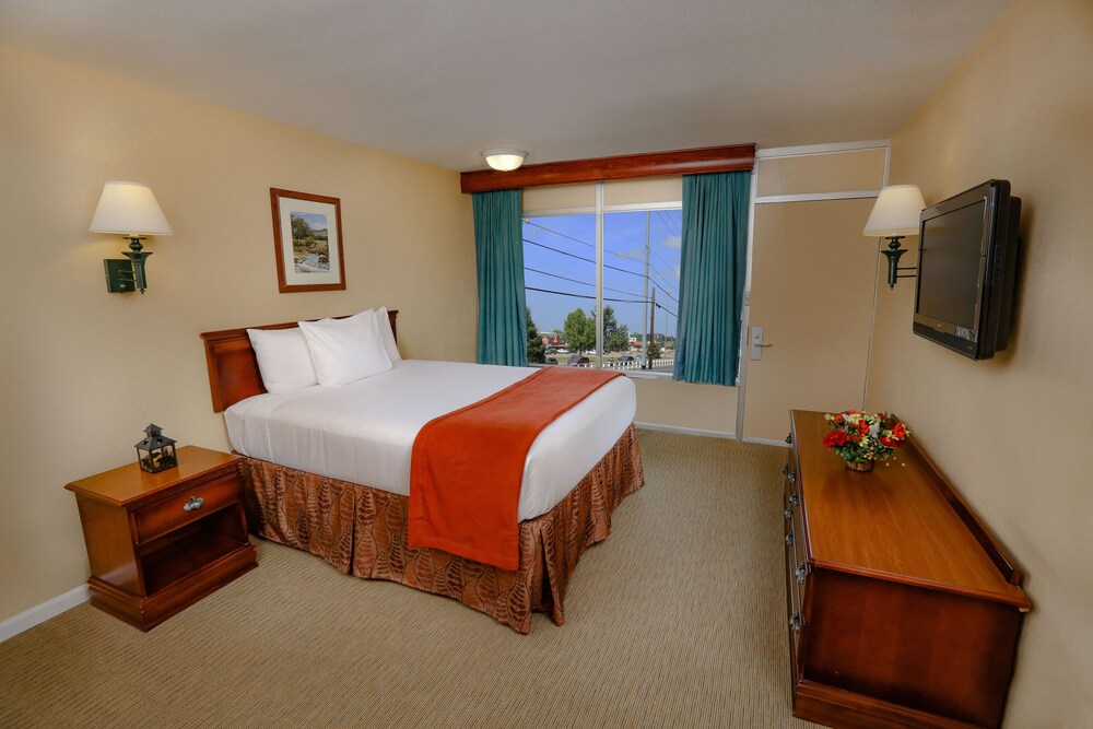 Wild Bear Inn - photo 8