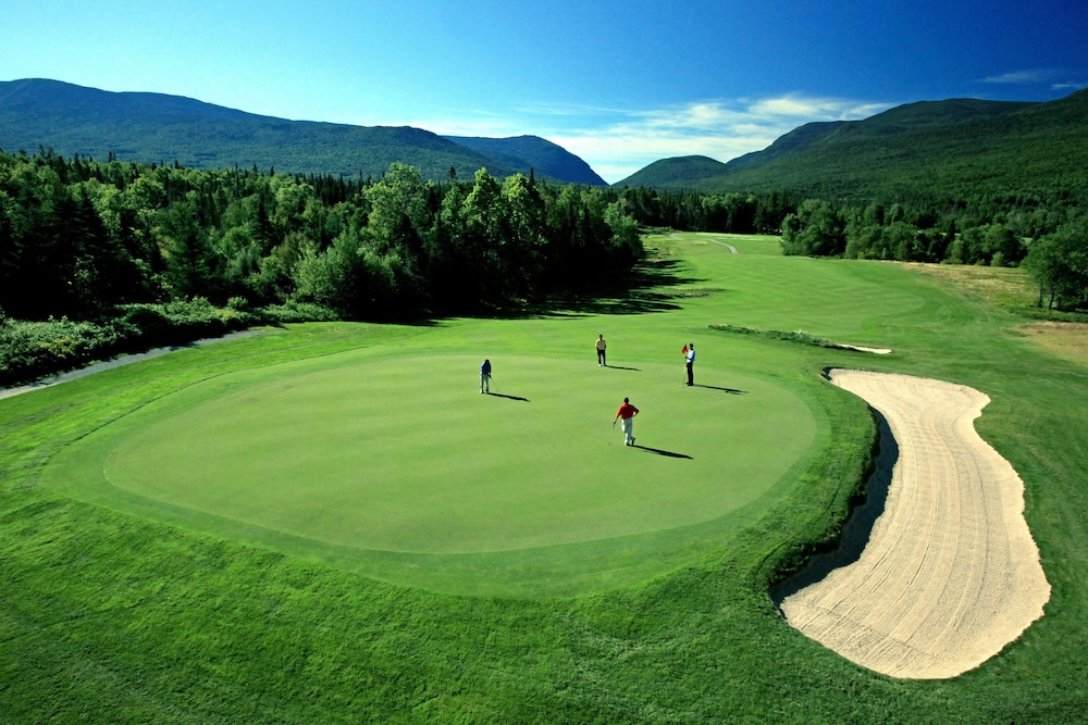 Omni Mount Washington Resort & Spa - photo 83