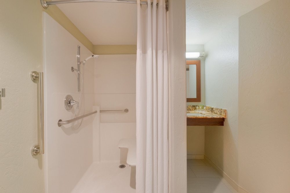 Holiday Inn Resort The Lodge At Big Bear Lake by IHG - photo 30