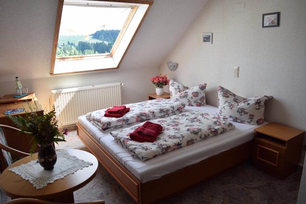 Hotel Carola — hotel in Schoenheide