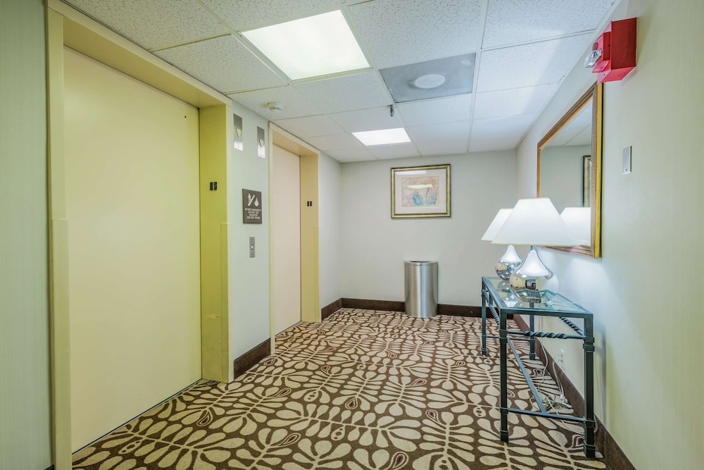 Hampton Inn Tampa International Airport Westshore - photo 6