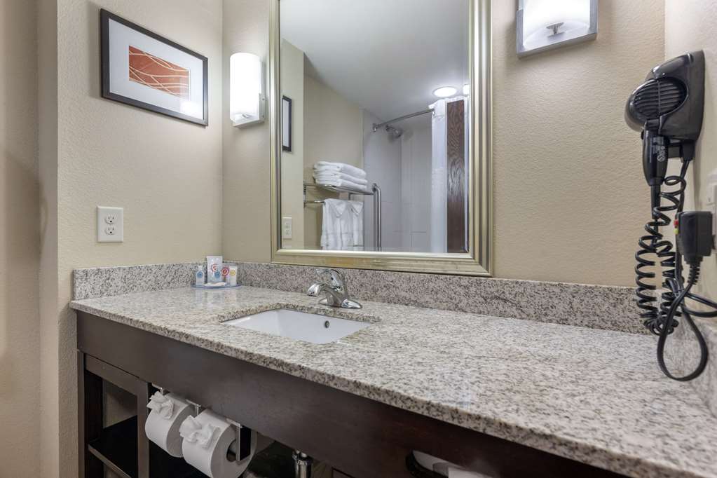 Comfort Inn & Suites West Artesia - photo 18