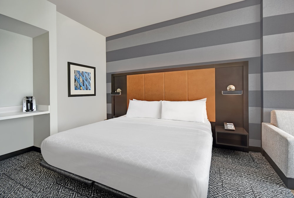 Holiday Inn Express Houston Galleria Area by IHG - photo 14