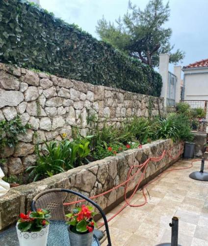 Daniele Garden