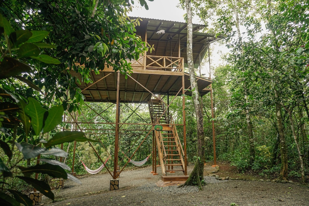 Tree Houses Hotel Costa Rica in Quesada, Costa Rica
