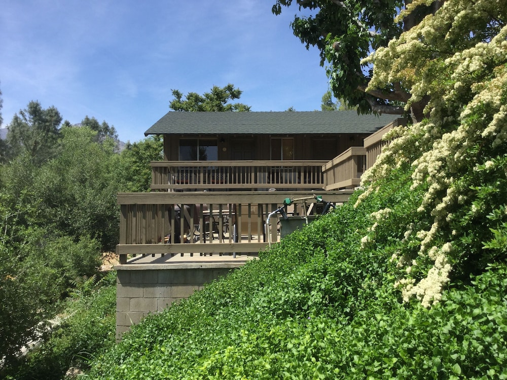 Sequoia Lodge - photo 17