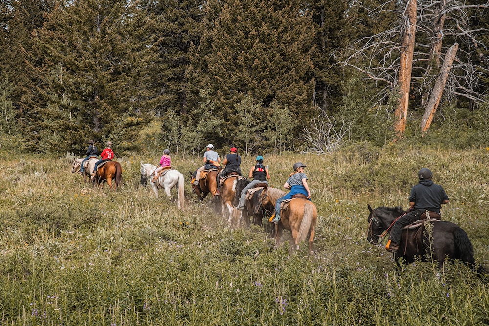 Heart 6 Ranch - photo 99