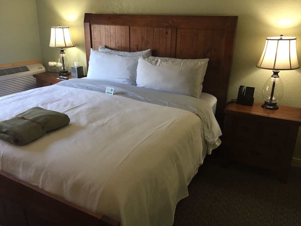 Roam Inn - photo 23