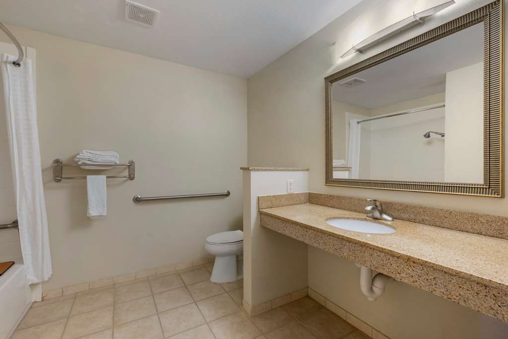 Best Western Plus Omaha Airport Inn - photo 27