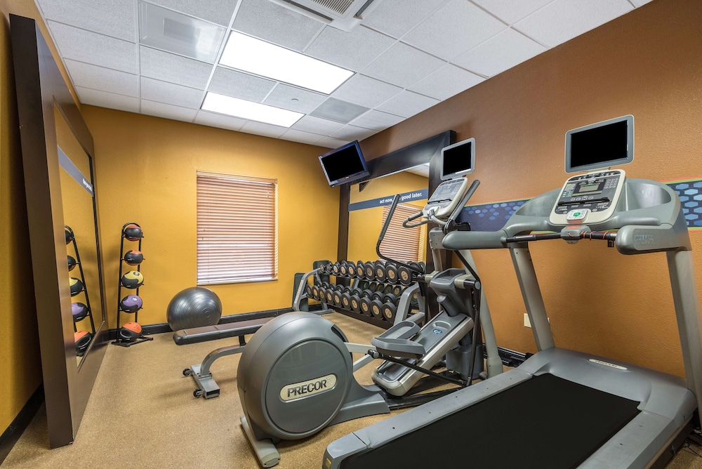 Hampton Inn & Suites Orlando South Lake Buena Vista - photo 41