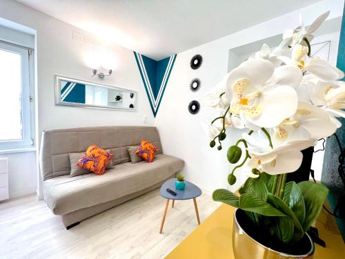 Color Studio Proche Gare 2p — Belfort