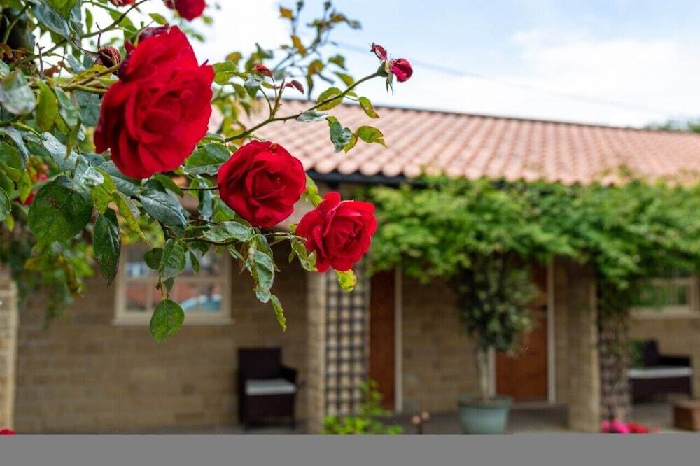 The Cresswell Arms in Malton, United Kingdom