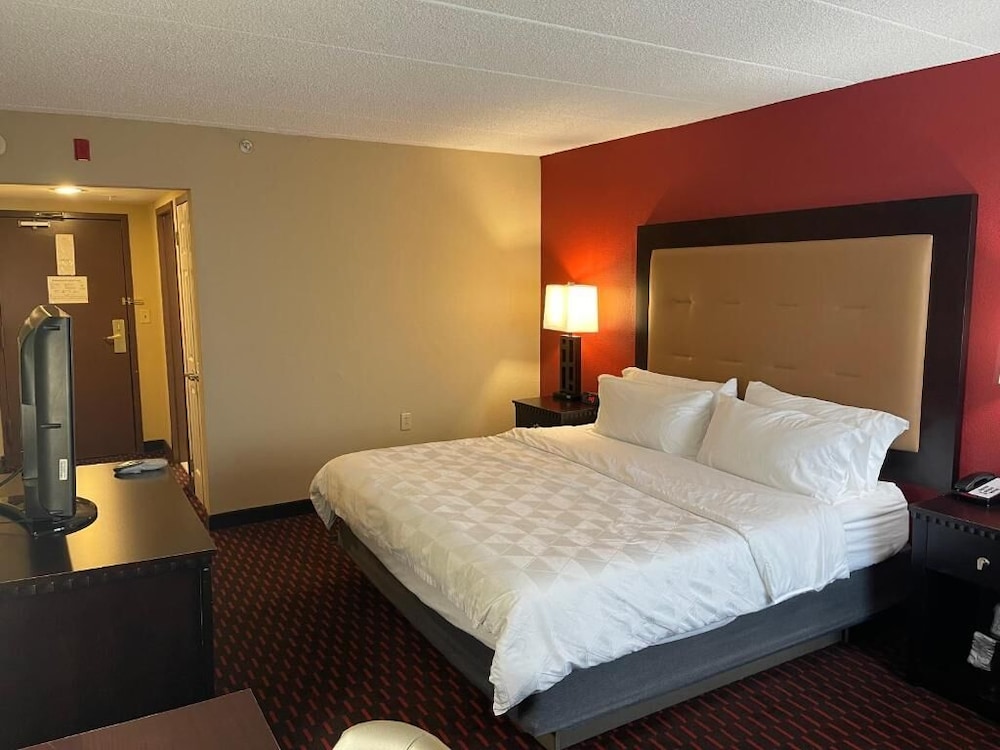 Wyndham Garden Dover - photo 10