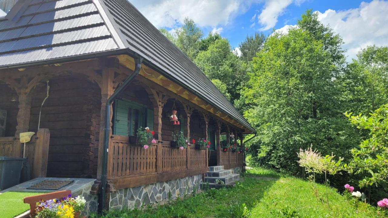 River Song Inn — hotel in Viseu De Jos