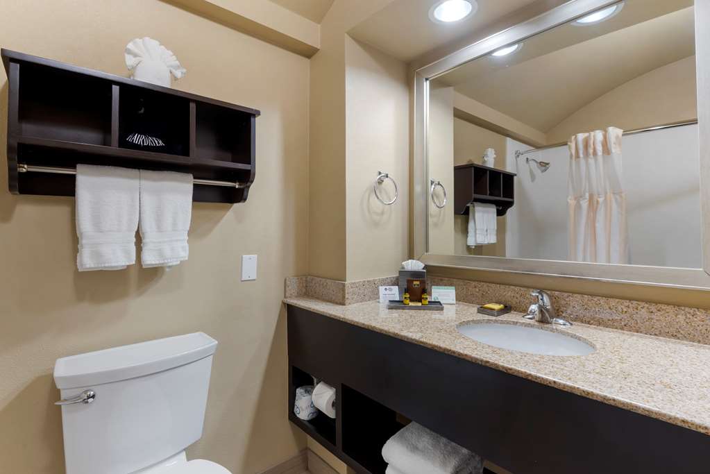 Best Western Plus Arlington North Hotel & Suites - photo 17