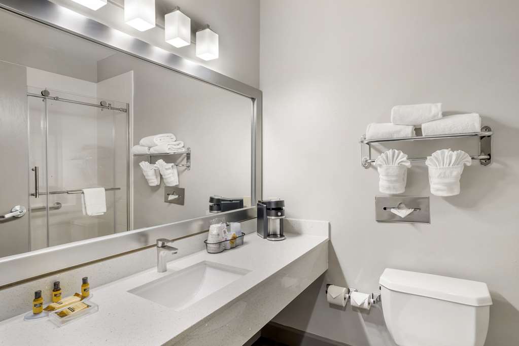 Best Western Plus Hobby Airport Inn & Suites - photo 13