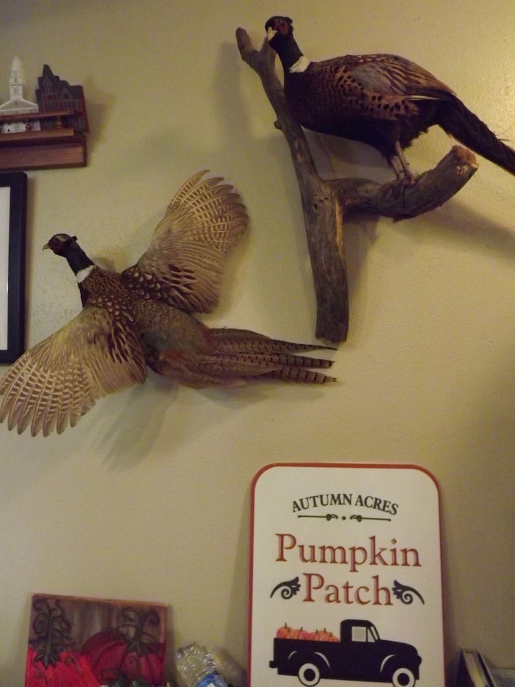 Crest Country Inn - photo 7