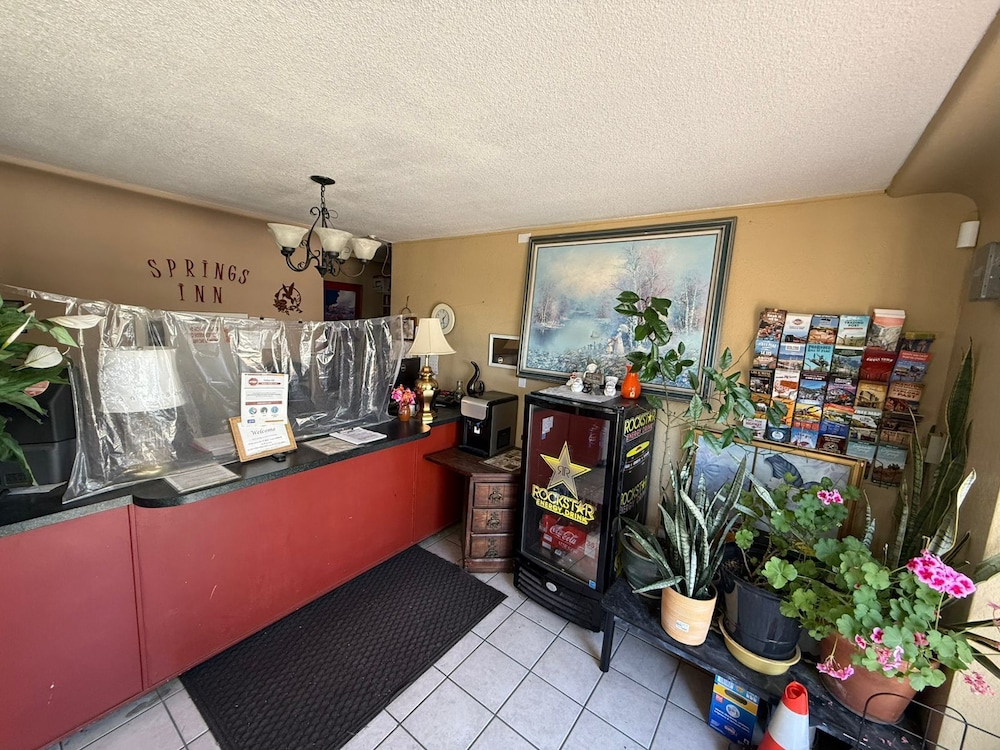Springs Inn - photo 31