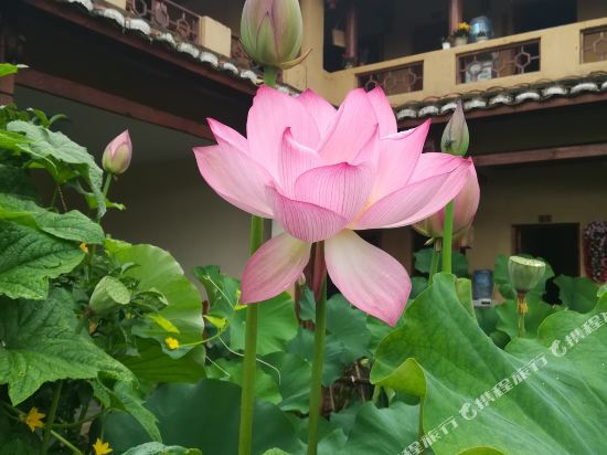 Jingshu Inn in Jinping, People's Republic of China