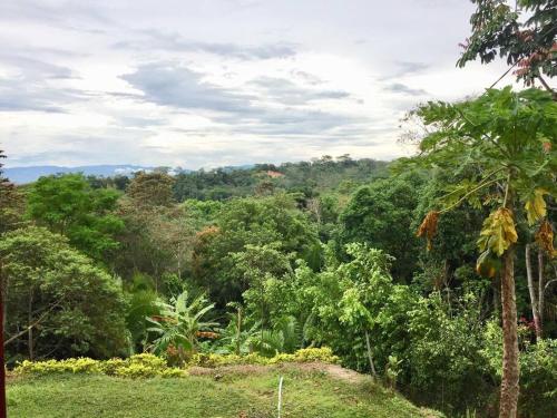Hacienda Tarapoto Selva Alta Ecolodge — Tarapoto — photo 5