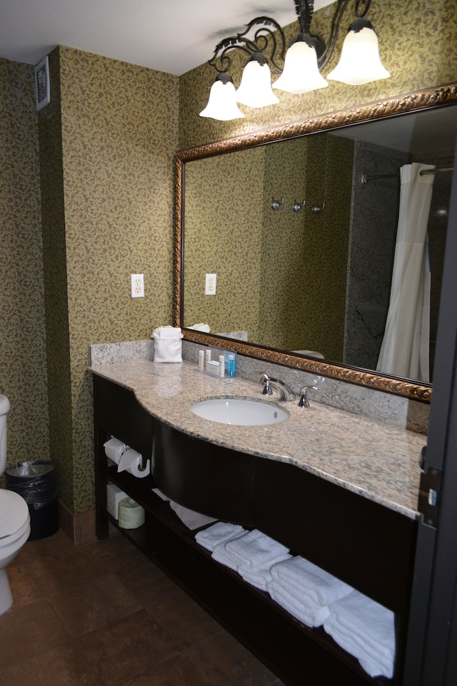 Hampton Inn & Suites Houston Katy - photo 20