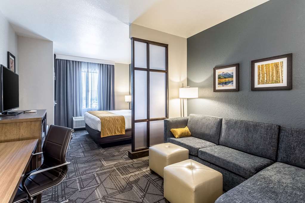 Comfort Inn & Suites Salt Lake City Airport - photo 44