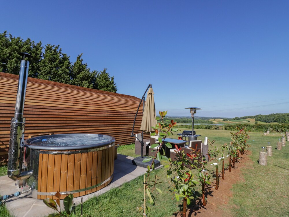 Tamina in Worcester, United Kingdom