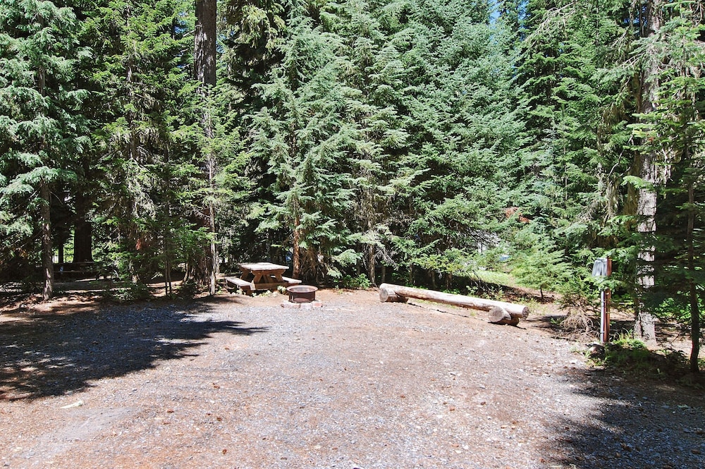 Shelter Cove Resort and Marina - photo 131