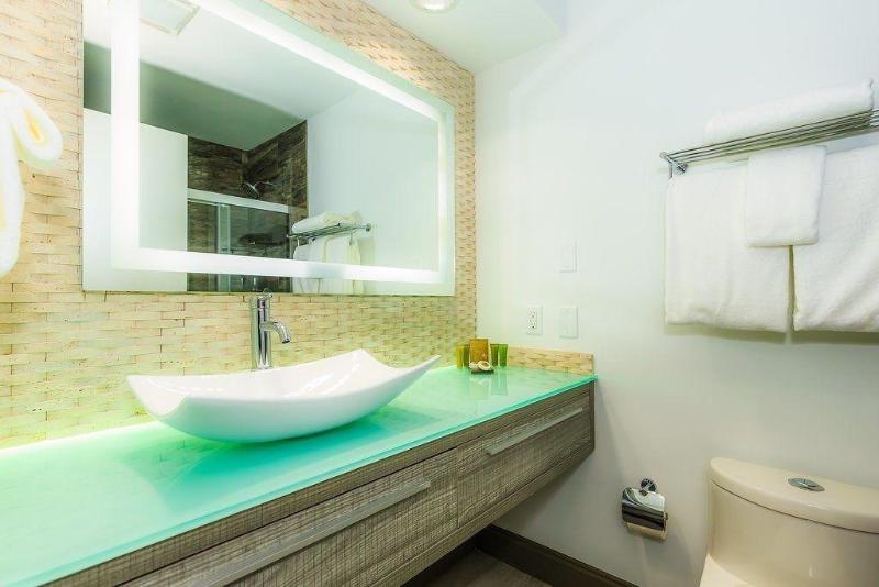 Regalia Hotel & Conference Center - photo 42