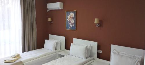 Aleksandar Guest Rooms in Gotse Delchev, Bulgaria