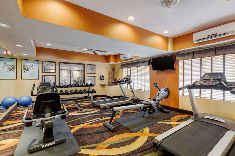 Best Western Plus Rockwall Inn & Suites - photo 29