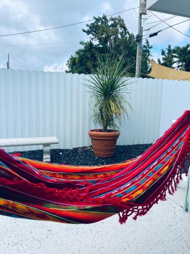 Casita Cafe — 4-Star Luxury Hotel in Miami, United States