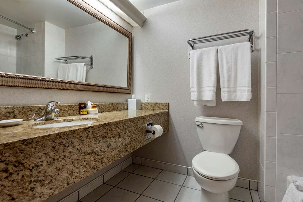 Best Western Plus Oswego Hotel and Conference Center - photo 45