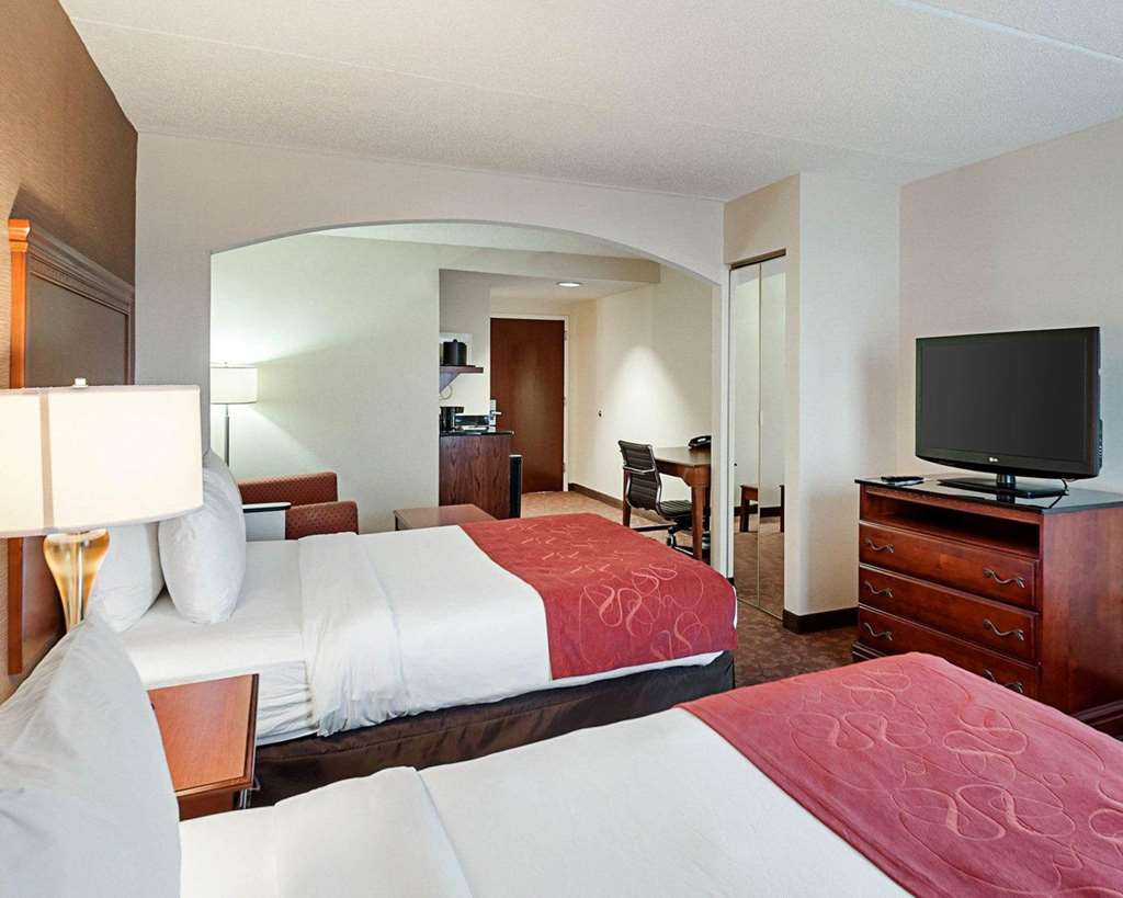 Comfort Suites Dulles Airport - photo 11