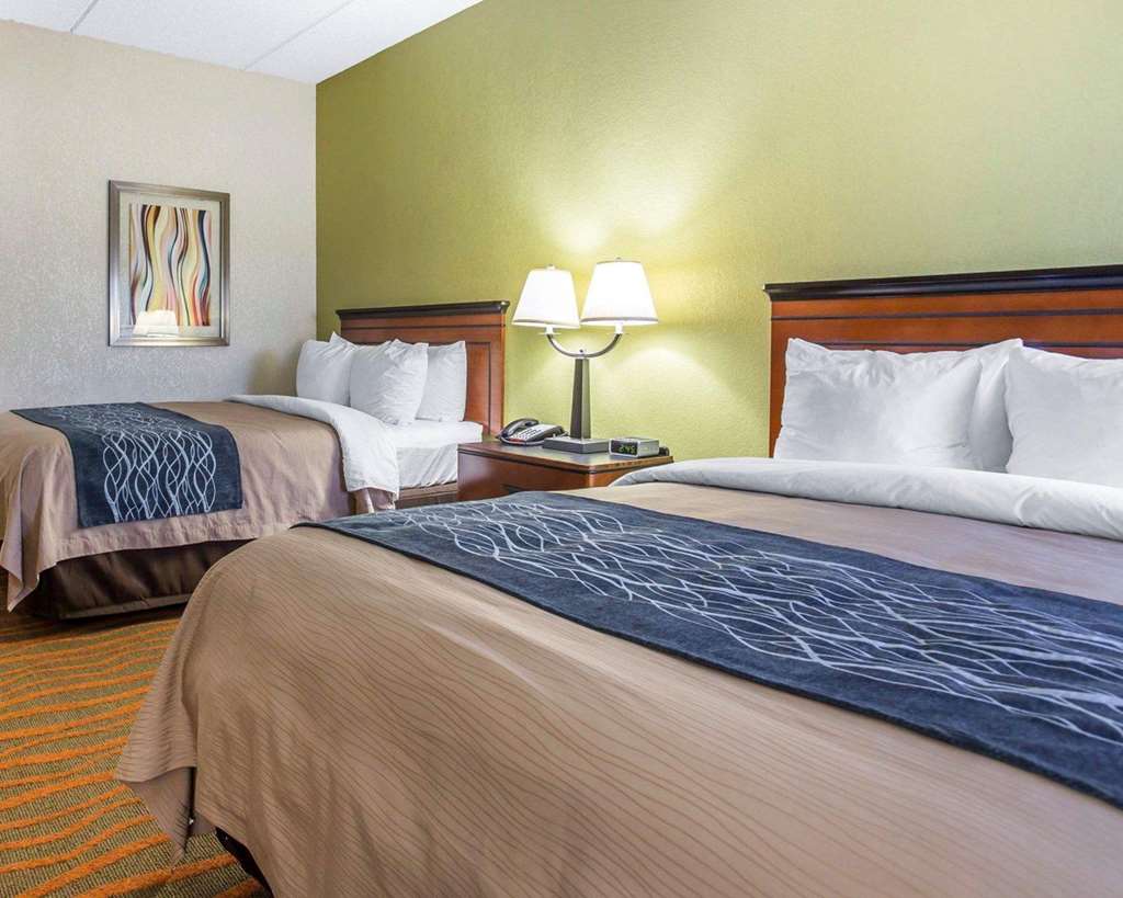 Comfort Inn Conyers - photo 16