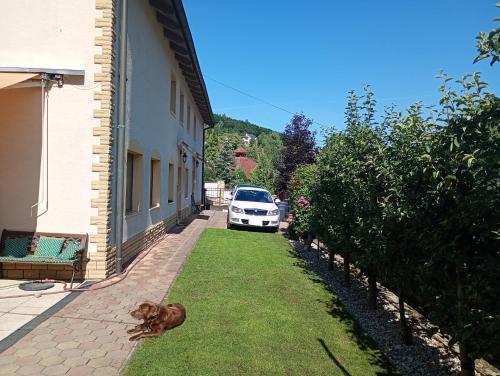 Ubytovanie Clematis in Trencianske Teplice, Slovakia