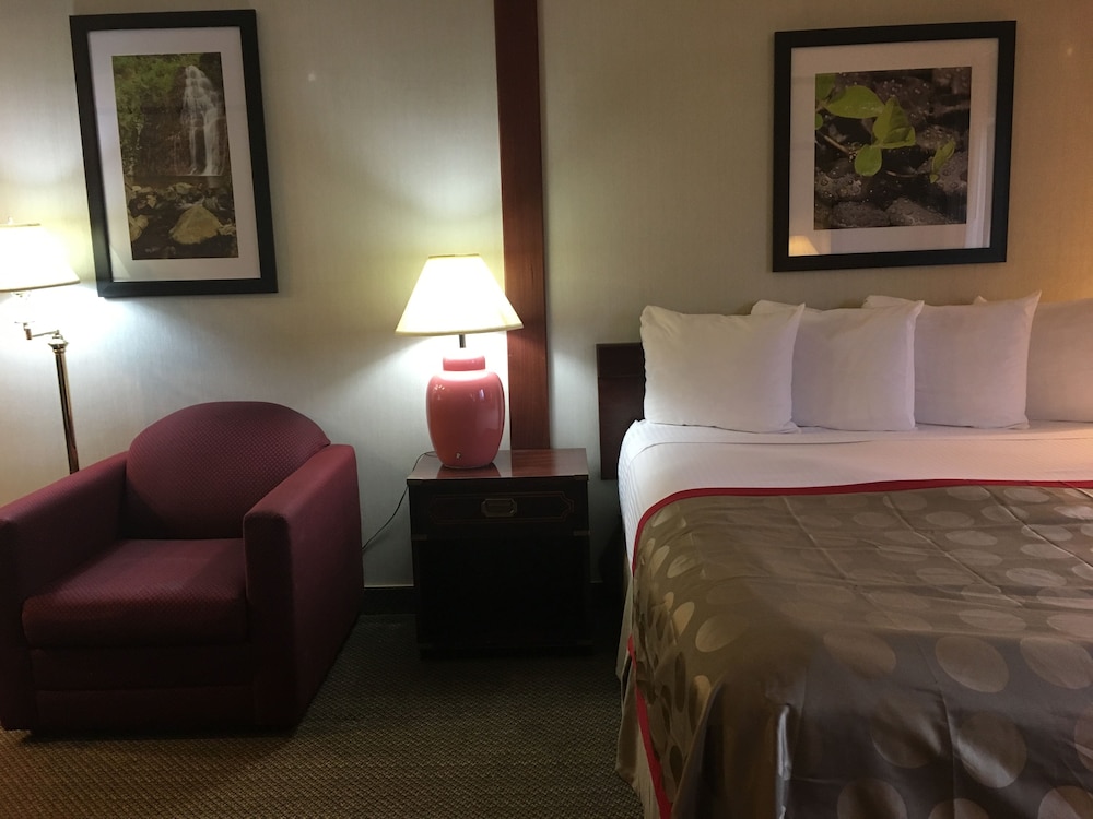 Ramada Portland Airport - photo 30
