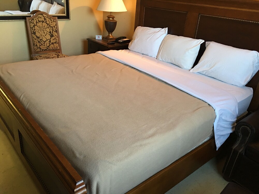 Reddy Inn and Suites - photo 23