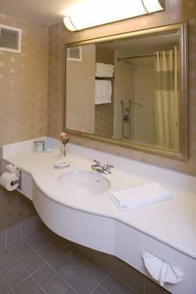 Hampton Inn & Suites Boston Crosstown Center - photo 30
