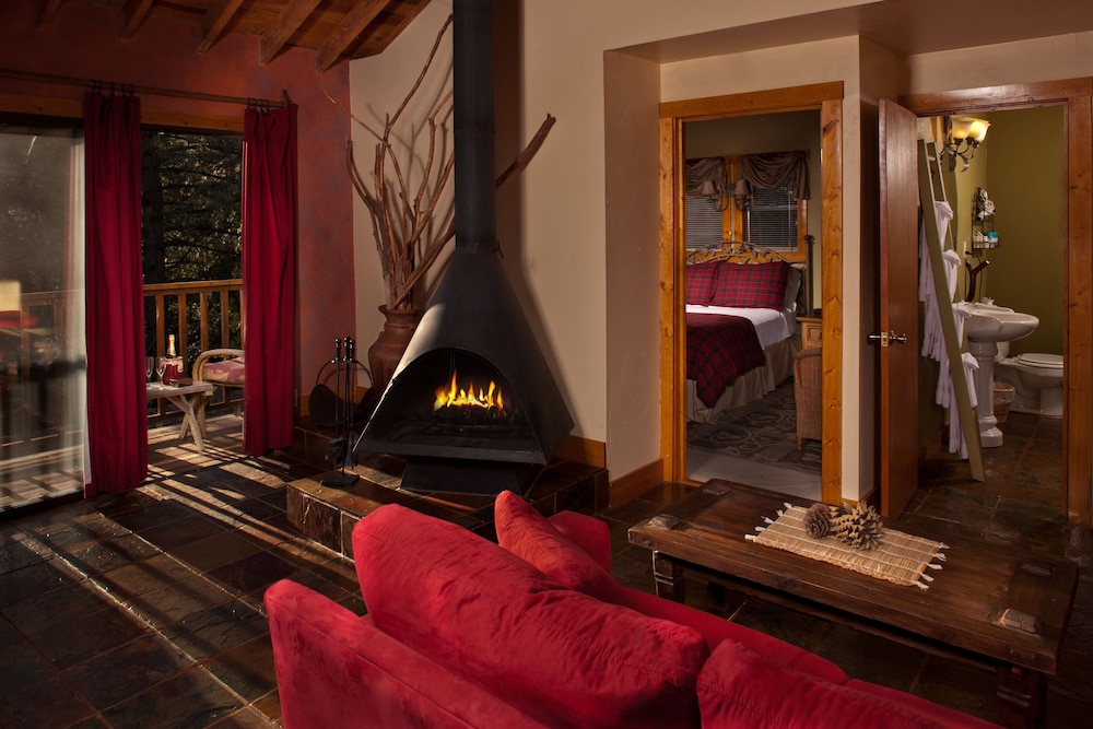 Idyllwild Bunkhouse - photo 15