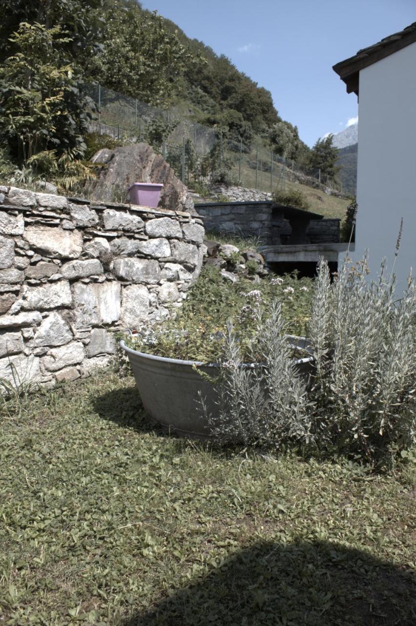 Merian — Piuro — photo 3