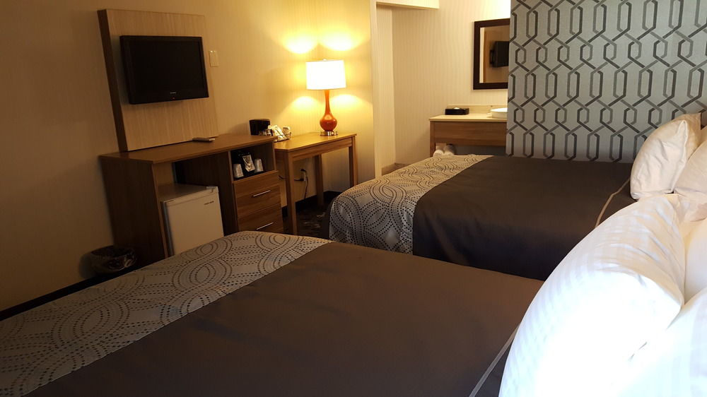 Aartpark Hotel Inn At Lewiston - featured photo