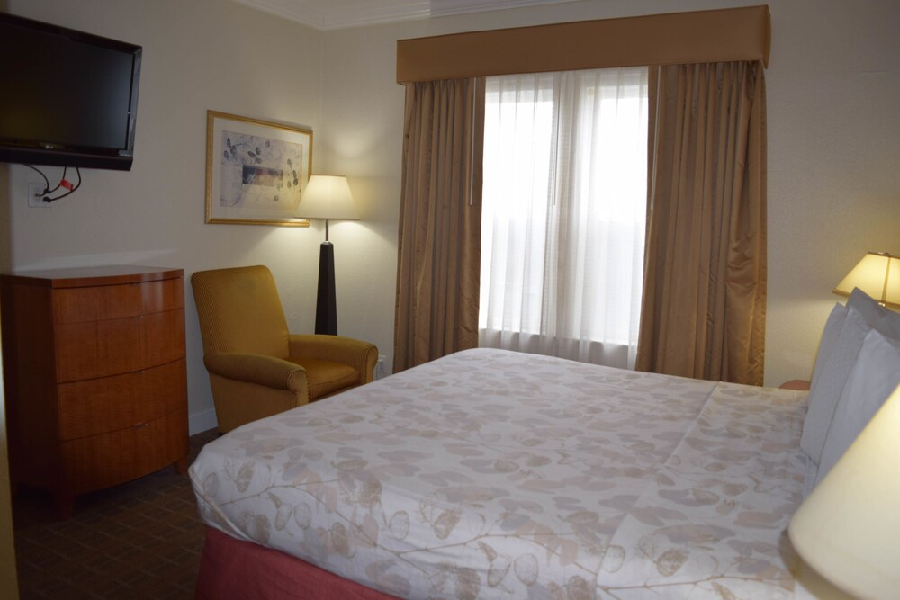 Americas Best Value Inn & Suites Soma - photo 9