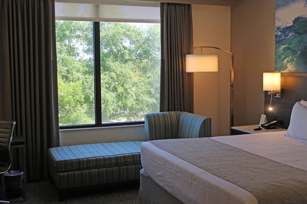 Buena Vista Suites Orlando - photo 37