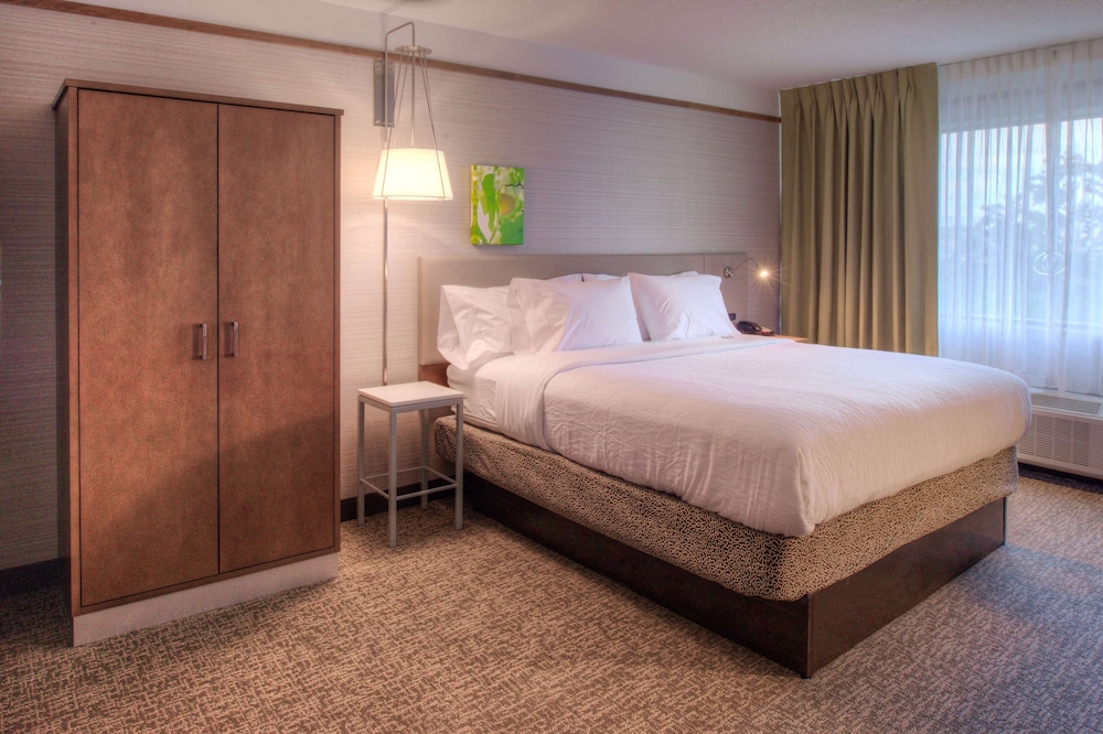 Hilton Garden Inn Detroit Southfield MI - photo 11