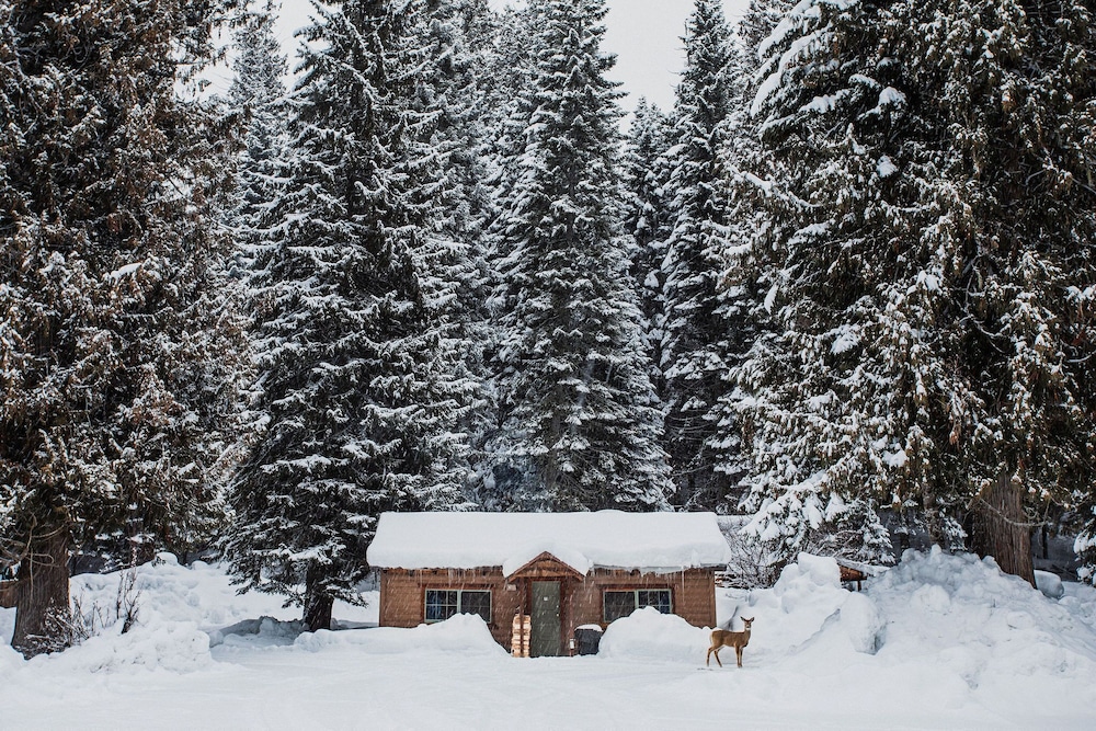 Lochsa Lodge Resort - photo 54