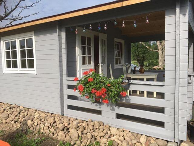 Dizozoli in Priekule, Latvia