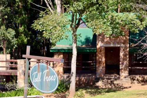 Tall Trees in Unknown City, South Africa