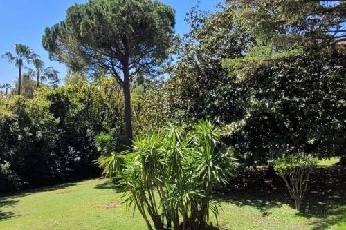 Cannes central beau 2 piA ces 50 M2 plus terrasse A 12 min plages et Palais — 4-Star Luxury Hotel in Cannes, France